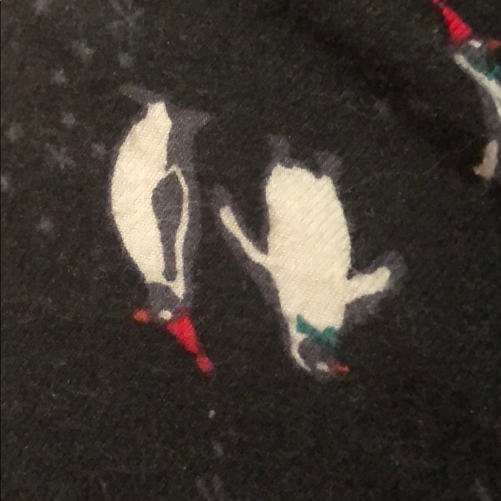 Meet your Posher, Kitty